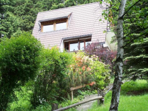 Гостиница Chalet Partecznik  Висла